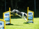 Fantom
IMCA selectie 30 mei 2009